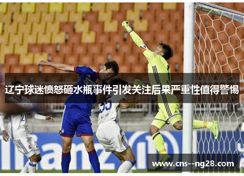 辽宁球迷愤怒砸水瓶事件引发关注后果严重性值得警惕