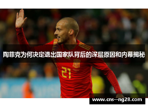 陶菲克为何决定退出国家队背后的深层原因和内幕揭秘