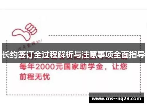 长约签订全过程解析与注意事项全面指导
